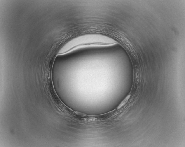 X0000116020419200912041754