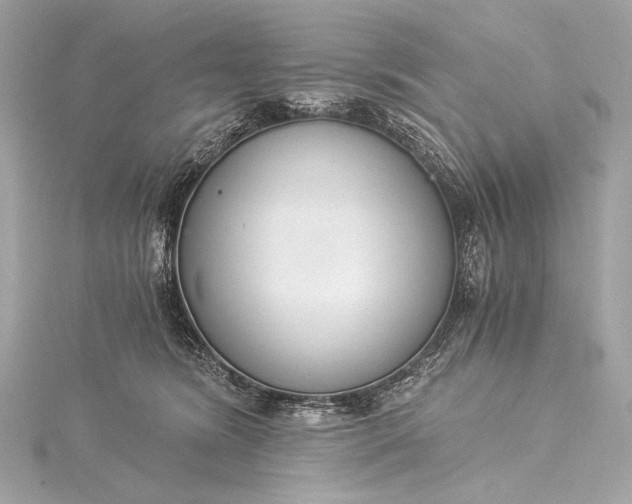 X0000116020420200912041754