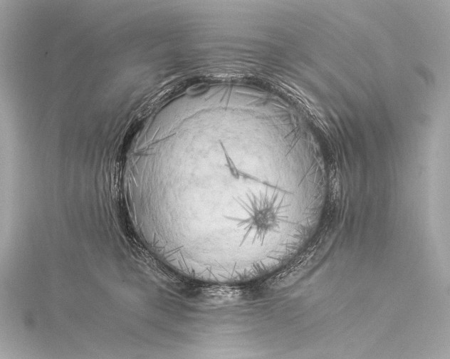 X0000116020421200912041754