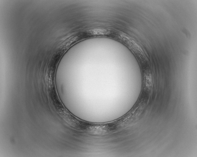 X0000116020422200912041754