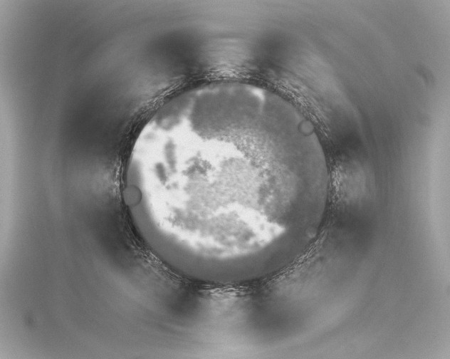 X0000116020423200912041754