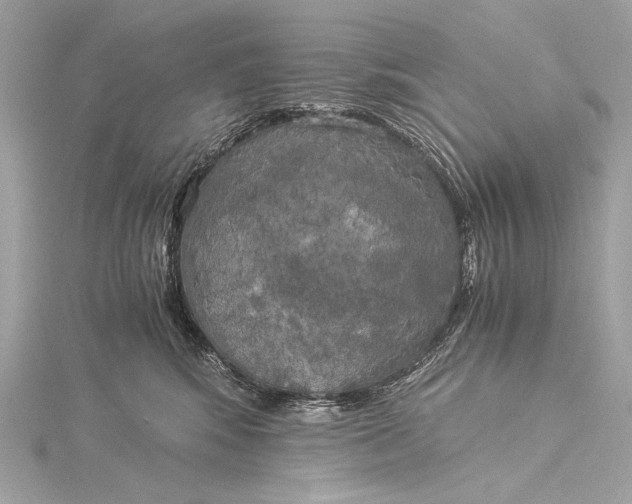 X0000116020424200912041754