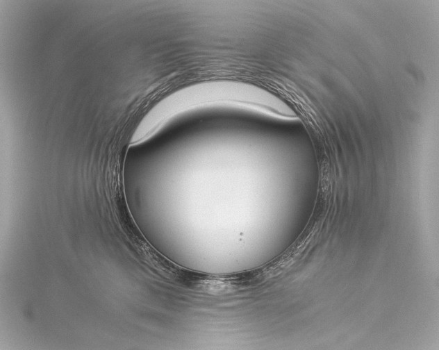 X0000116020425200912041754