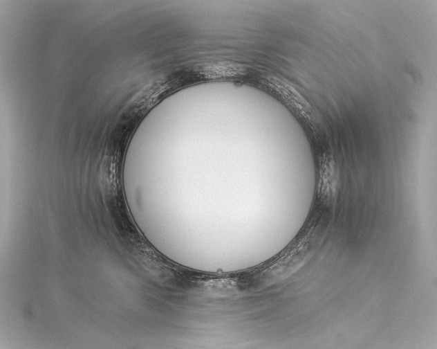 X0000116020426200912041754