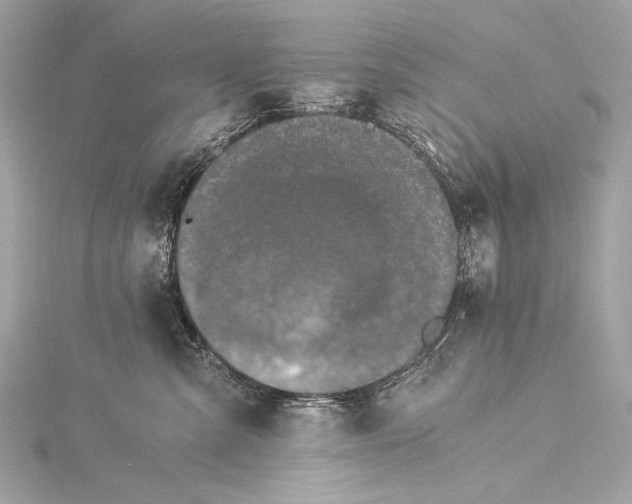 X0000116020427200912041754