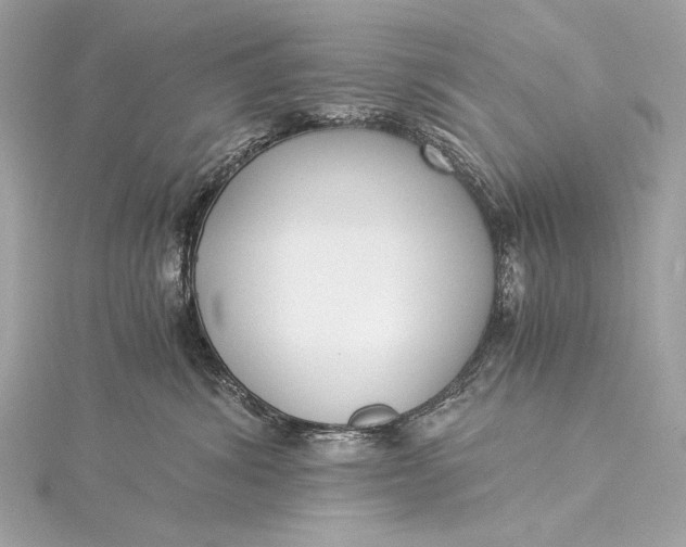 X0000116020428200912041754