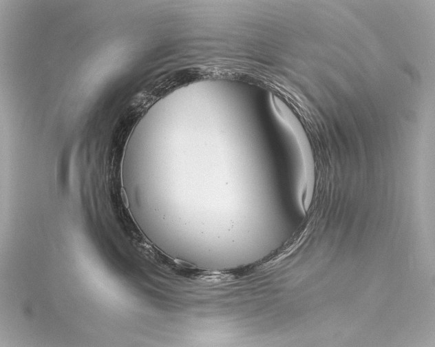 X0000116020429200912041754