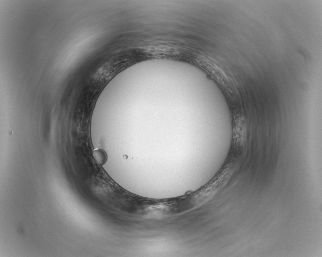 X0000116020430200912041754