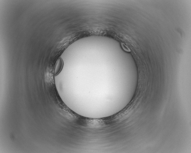 X0000116020432200912041754