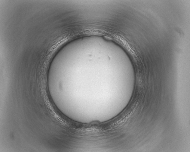 X0000116020433200912041753