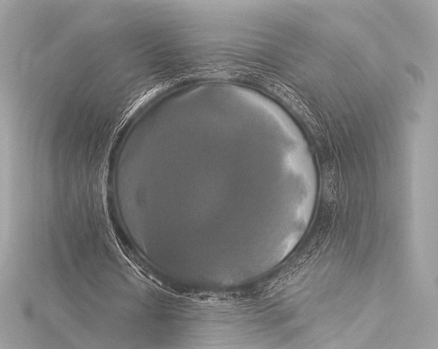 X0000116020434200912041753