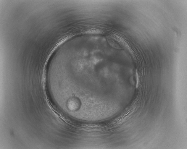 X0000116020435200912041753