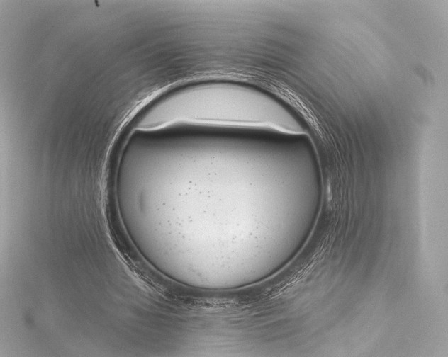 X0000116020436200912041753