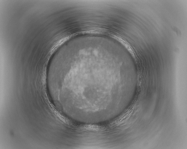 X0000116020437200912041753