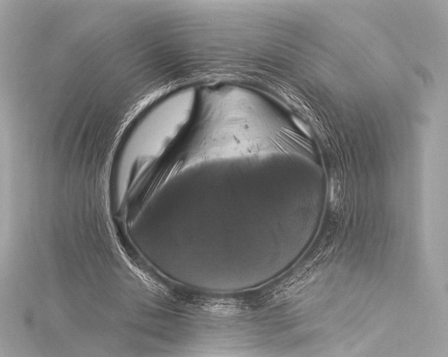 X0000116020438200912041753