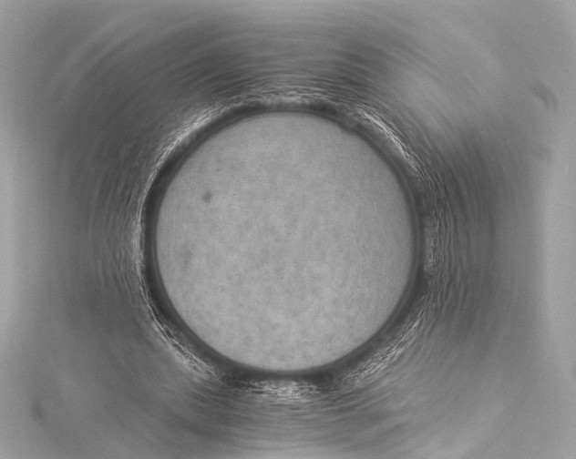 X0000116020439200912041753