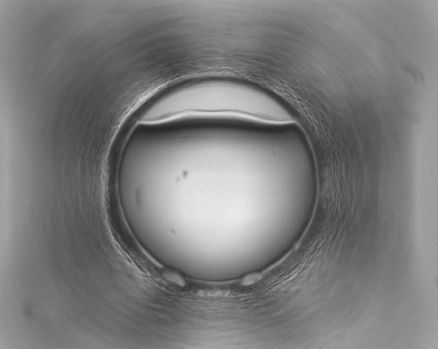 X0000116020440200912041753