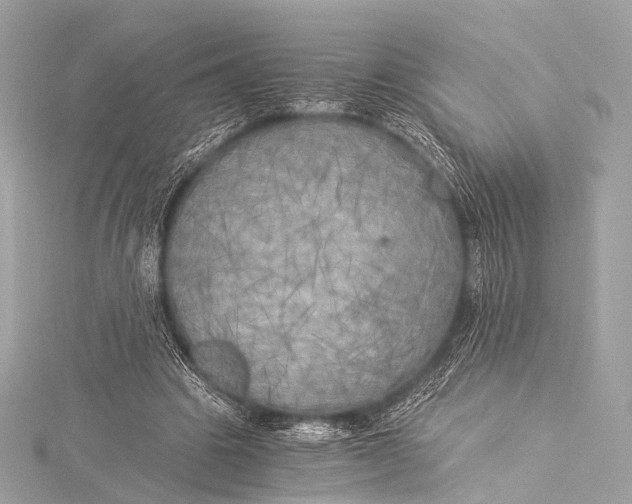 X0000116020441200912041753