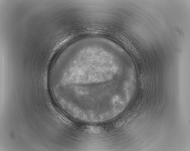 X0000116020442200912041753