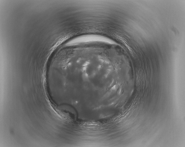 X0000116020443200912041753