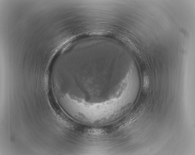 X0000116020444200912041753