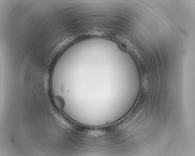 X0000116020445200912041753