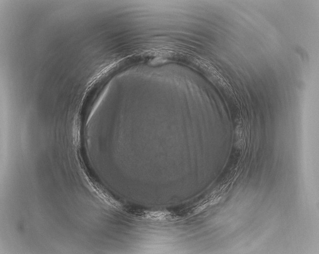 X0000116020446200912041753