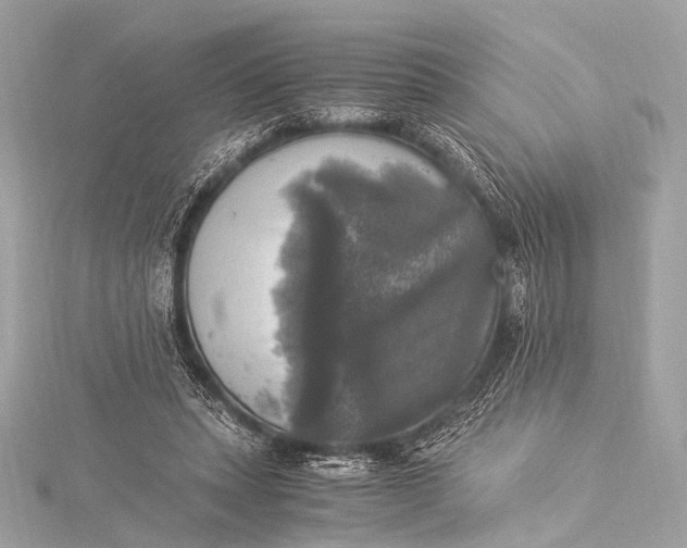 X0000116020447200912041753