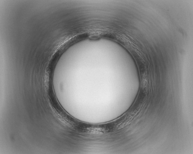 X0000116020448200912041753