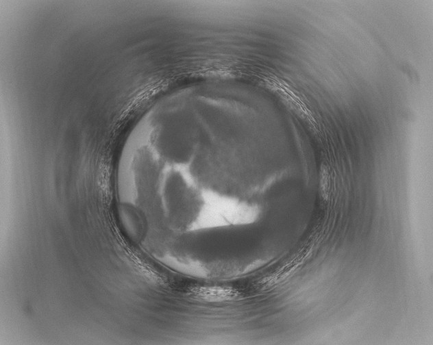 X0000116020449200912041753