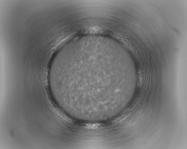 X0000116020450200912041754