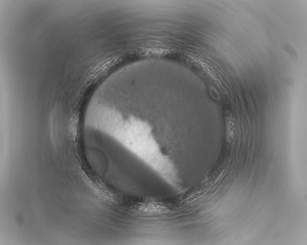 X0000116020451200912041754