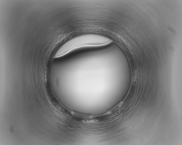 X0000116020452200912041754