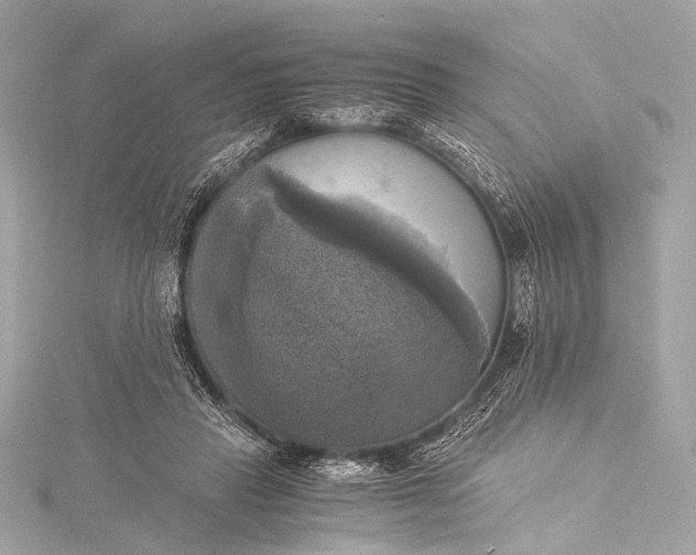 X0000116020453200912041754