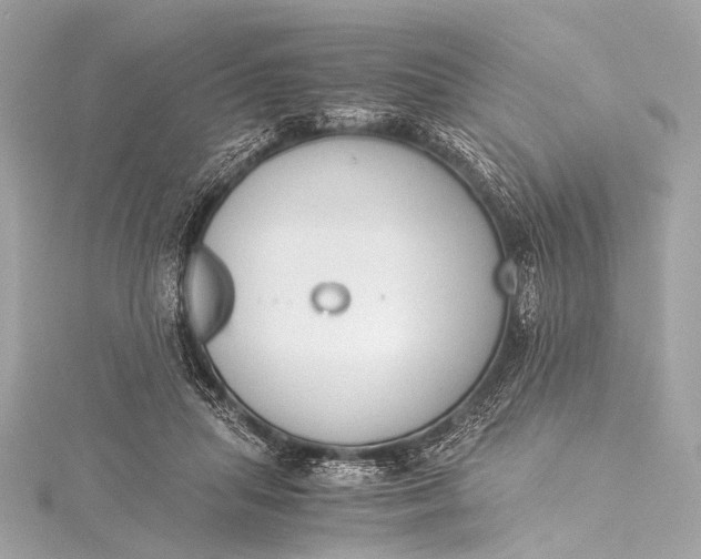 X0000116020455200912041754