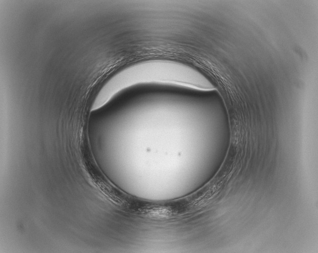 X0000116020456200912041754