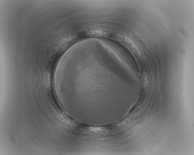 X0000116020457200912041754