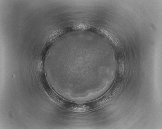 X0000116020459200912041754