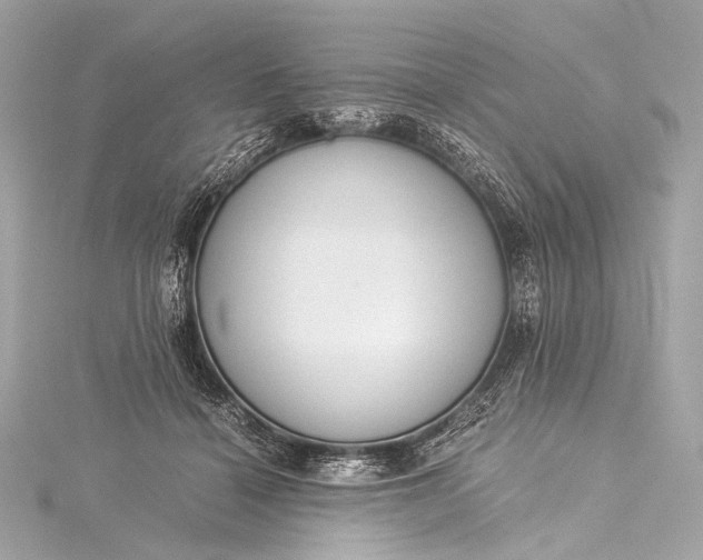 X0000116020460200912041754