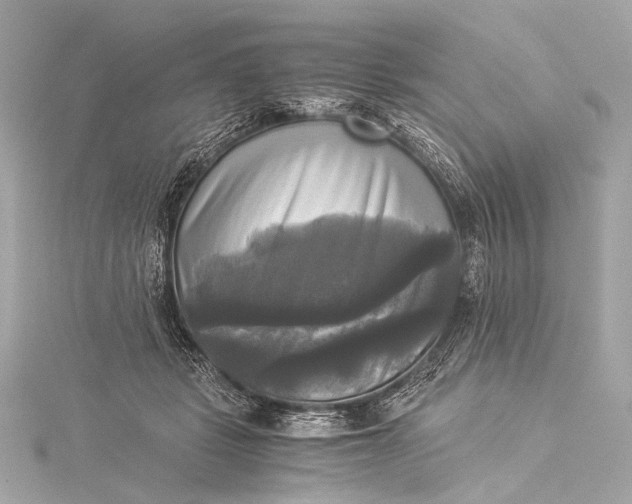 X0000116020461200912041754