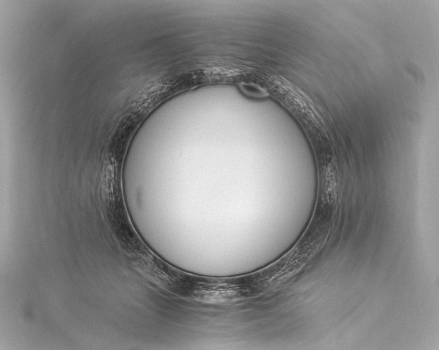 X0000116020463200912041754