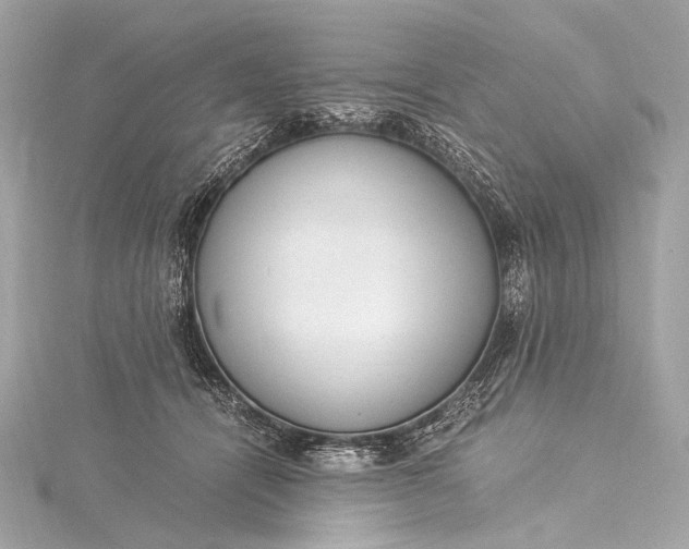 X0000116020464200912041754