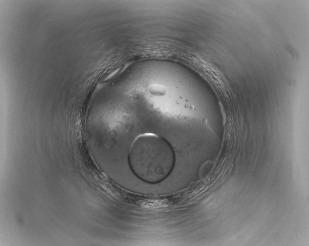 X0000116020465200912041754