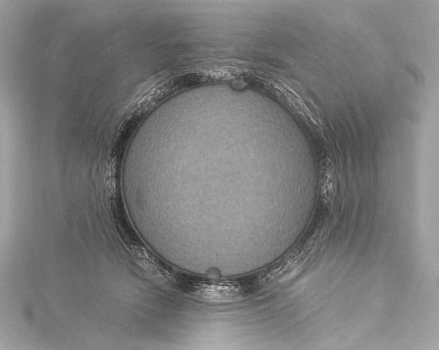 X0000116020466200912041754