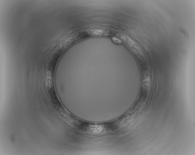 X0000116020469200912041754