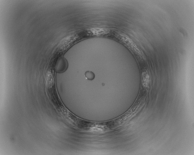 X0000116020471200912041754