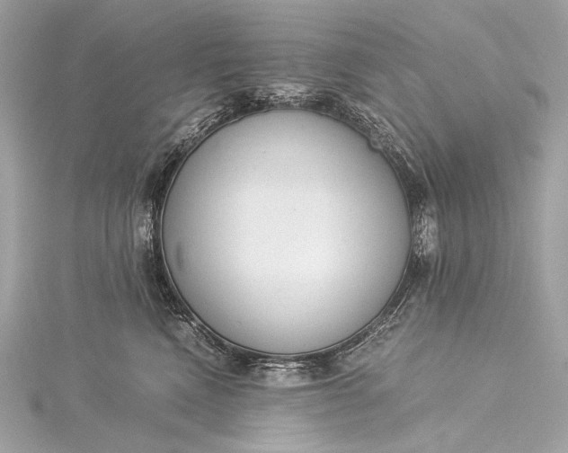 X0000116020472200912041754