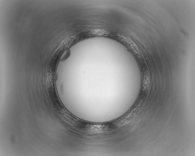 X0000116020473200912041754