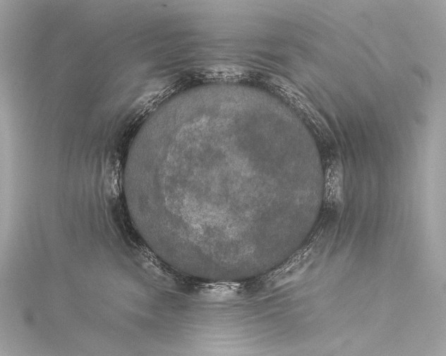 X0000116020474200912041754