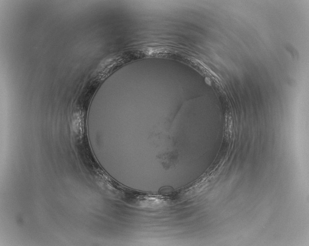 X0000116020475200912041754